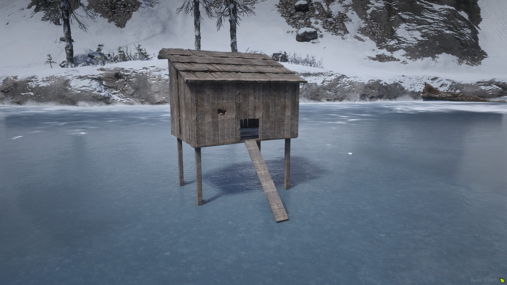 Chicken Coop