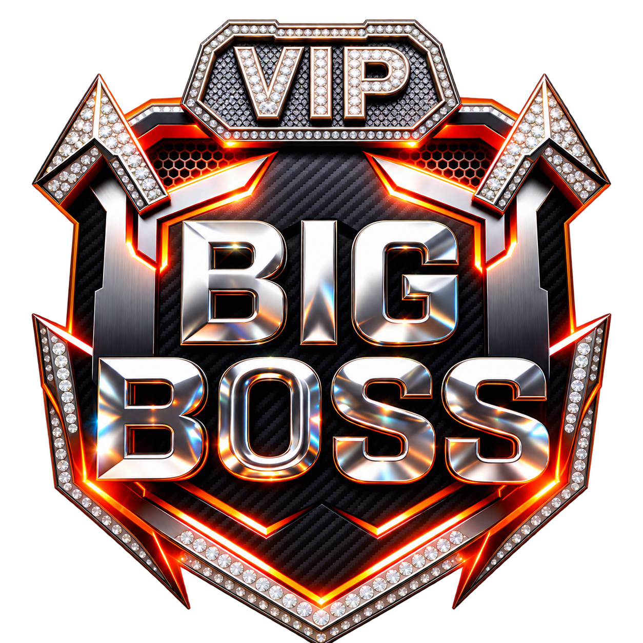 Big Boss VIP
