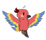 TP Parrot 