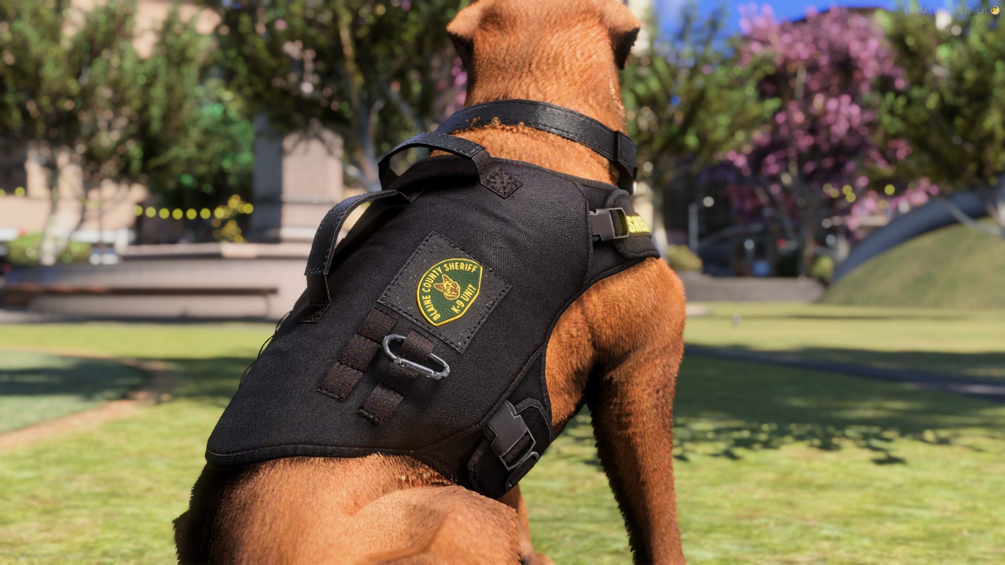 Rottweiler Police K9