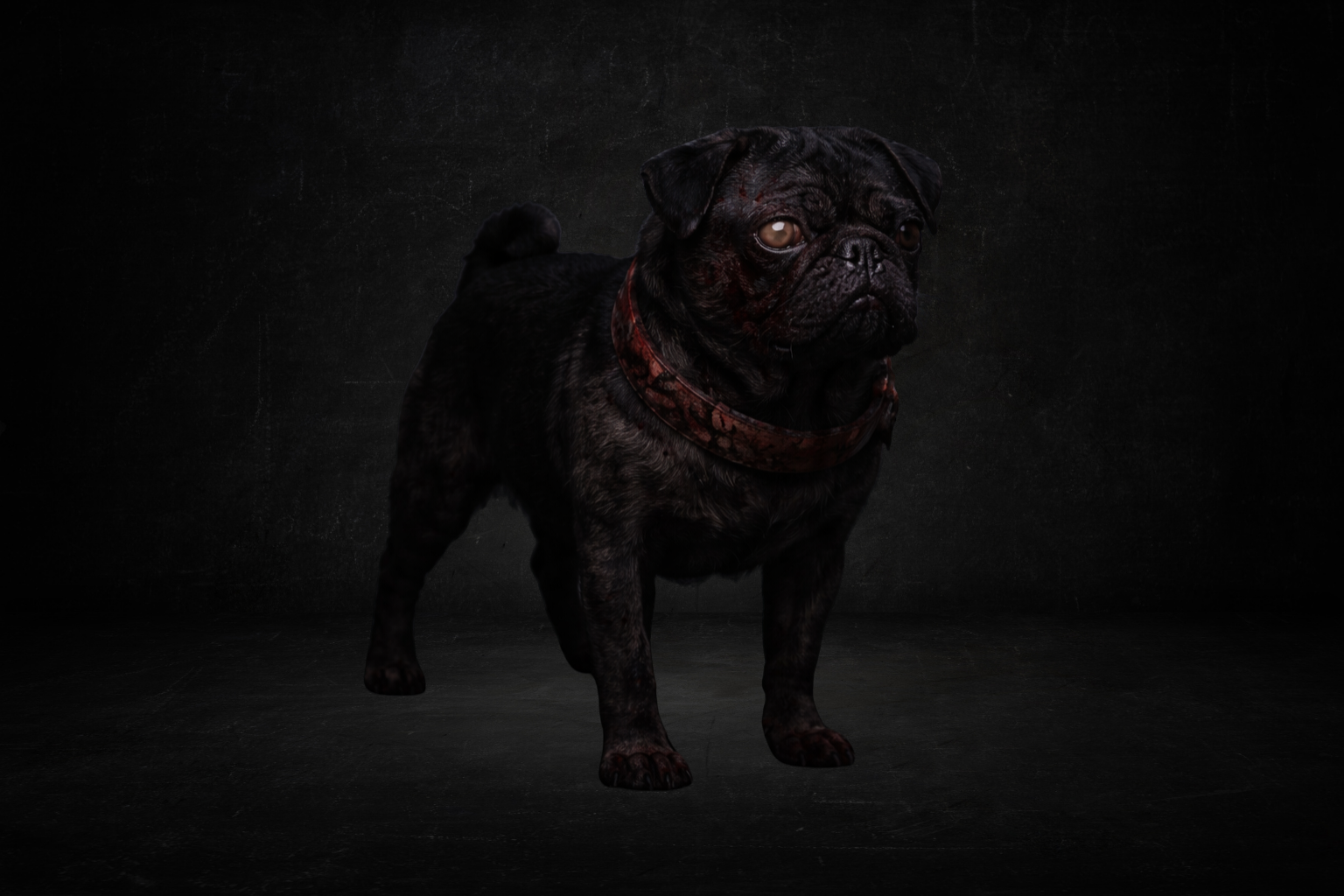 Pug sombre ( survie )