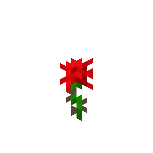 Rose [30d]