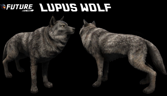 [ANIMAL] Lupus Wolf