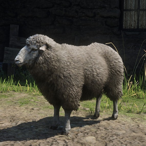 Mouton