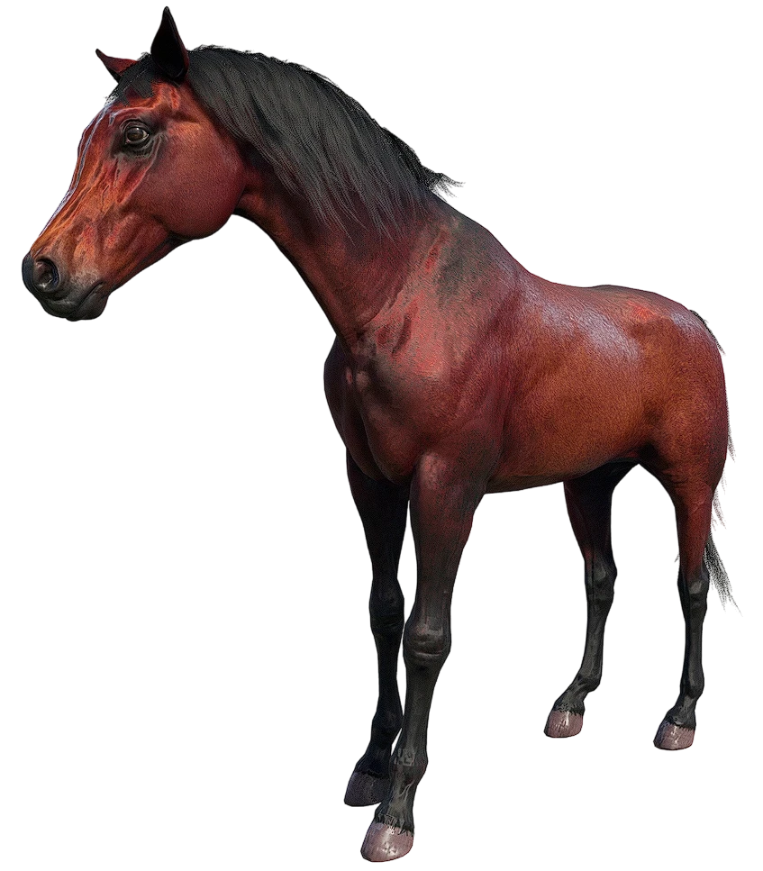 Red Chestnut Arabian