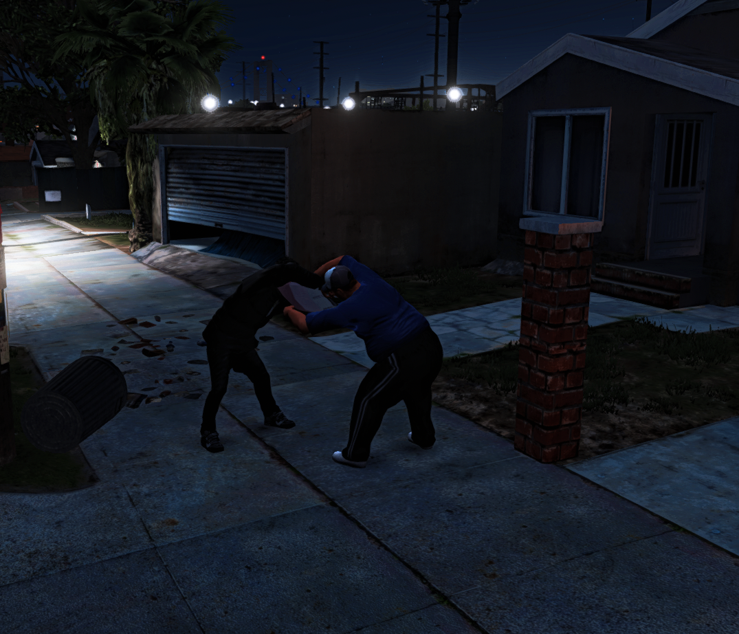 BagPick illegal system