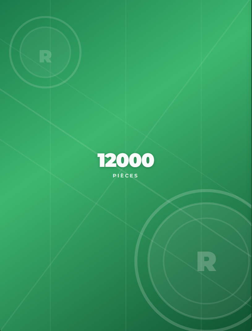 12000 coins