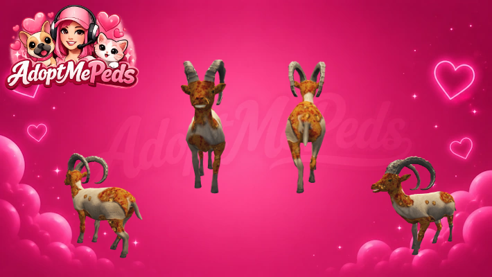 5 Infected Animals