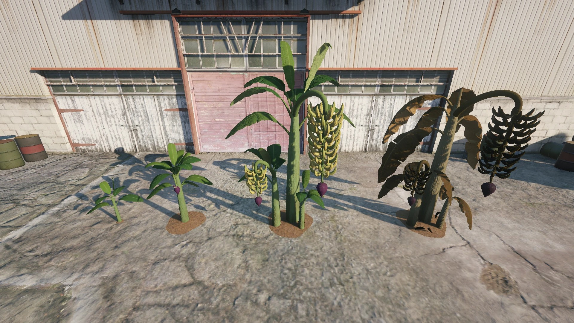 Farm Props: Orchard - 4