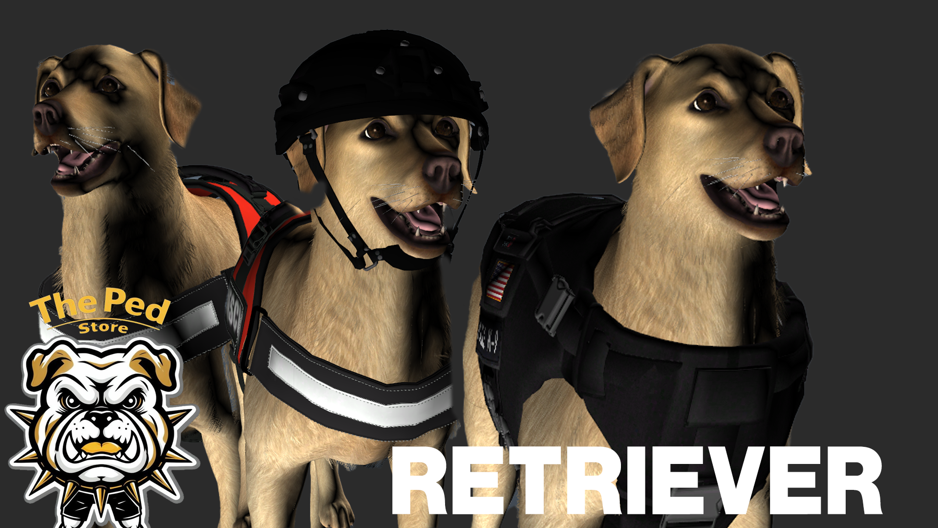 Police / Search & Rescue Retriever
