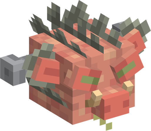 Sombrero | Cerdo