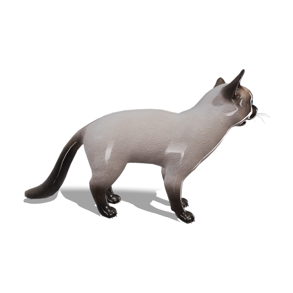 Spotted Cat