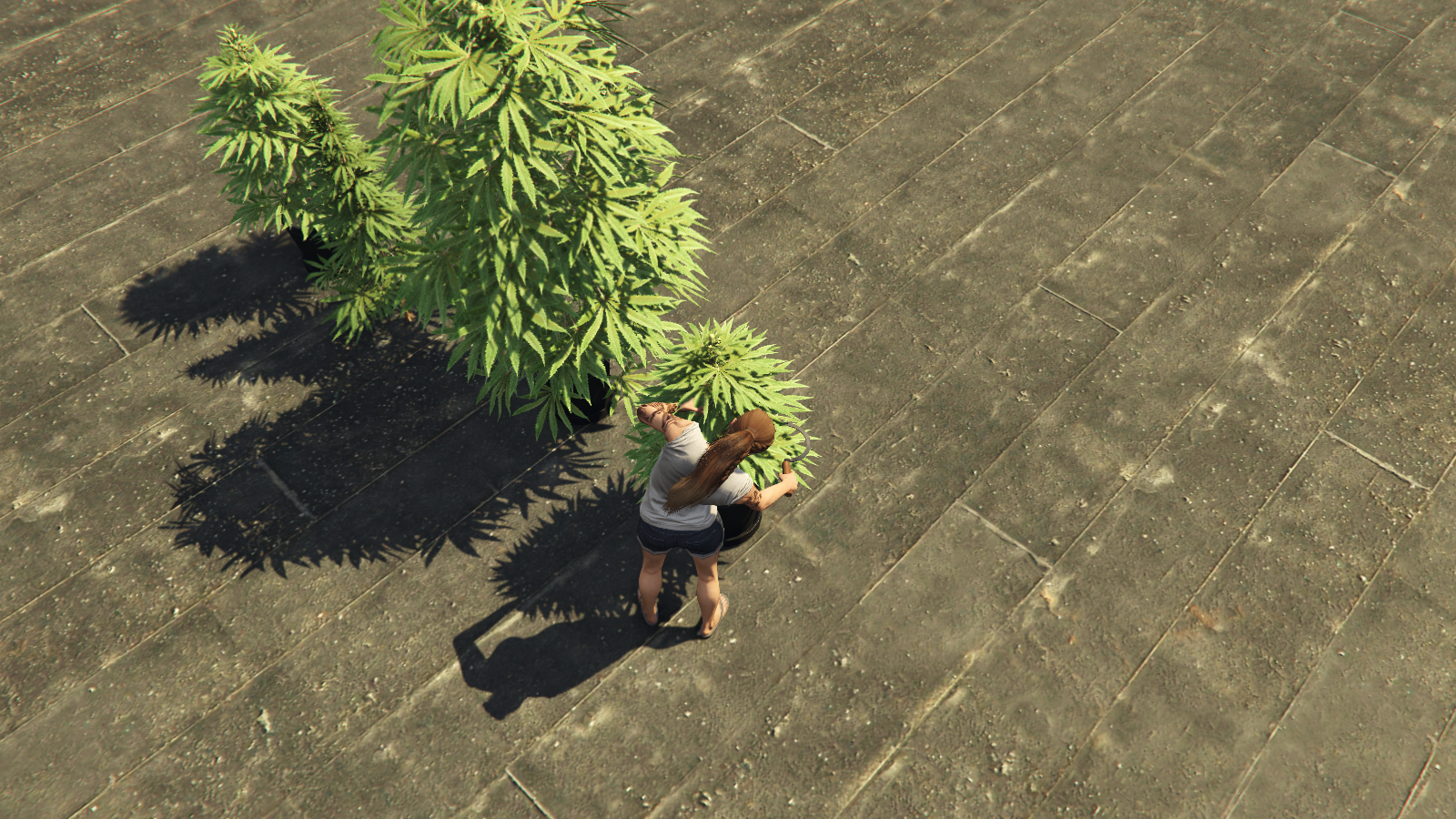 Cutting weed