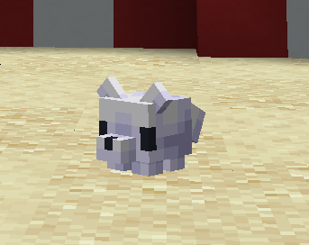 Arctic Fox Pet