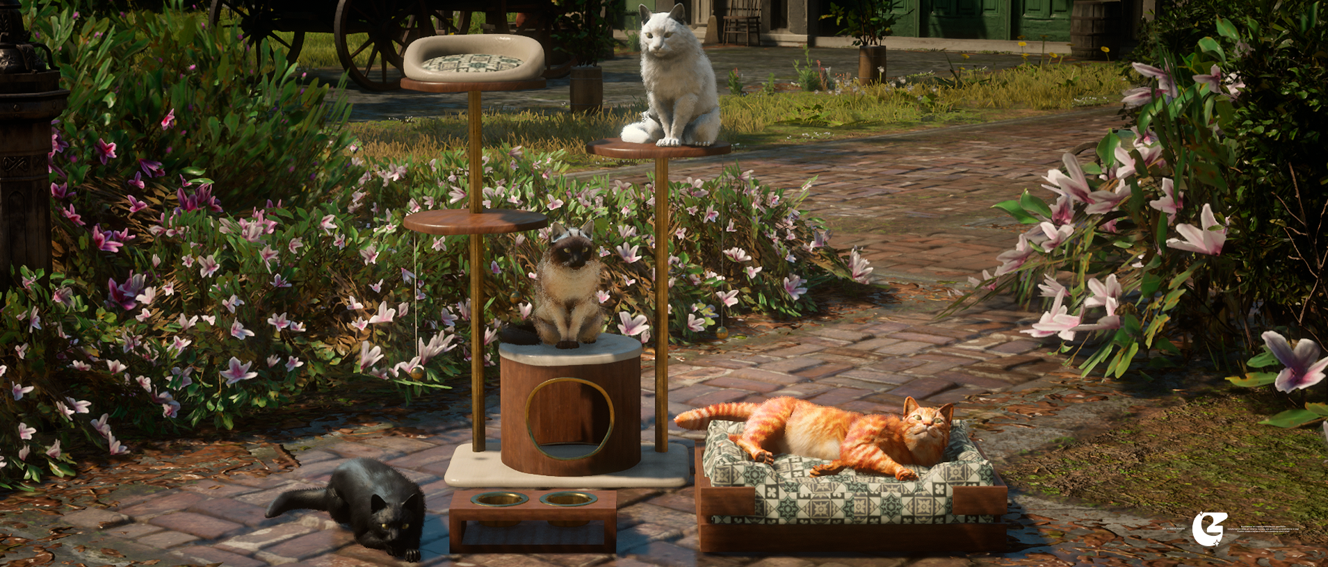 [ Cat Pack ]