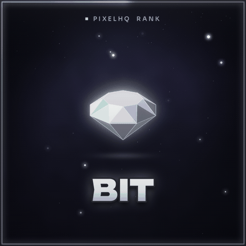 Bit
