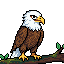 Eagle Rank