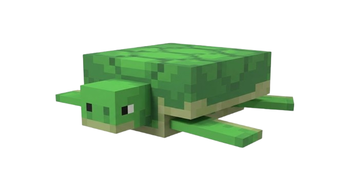 MASCOTA TORTUGA