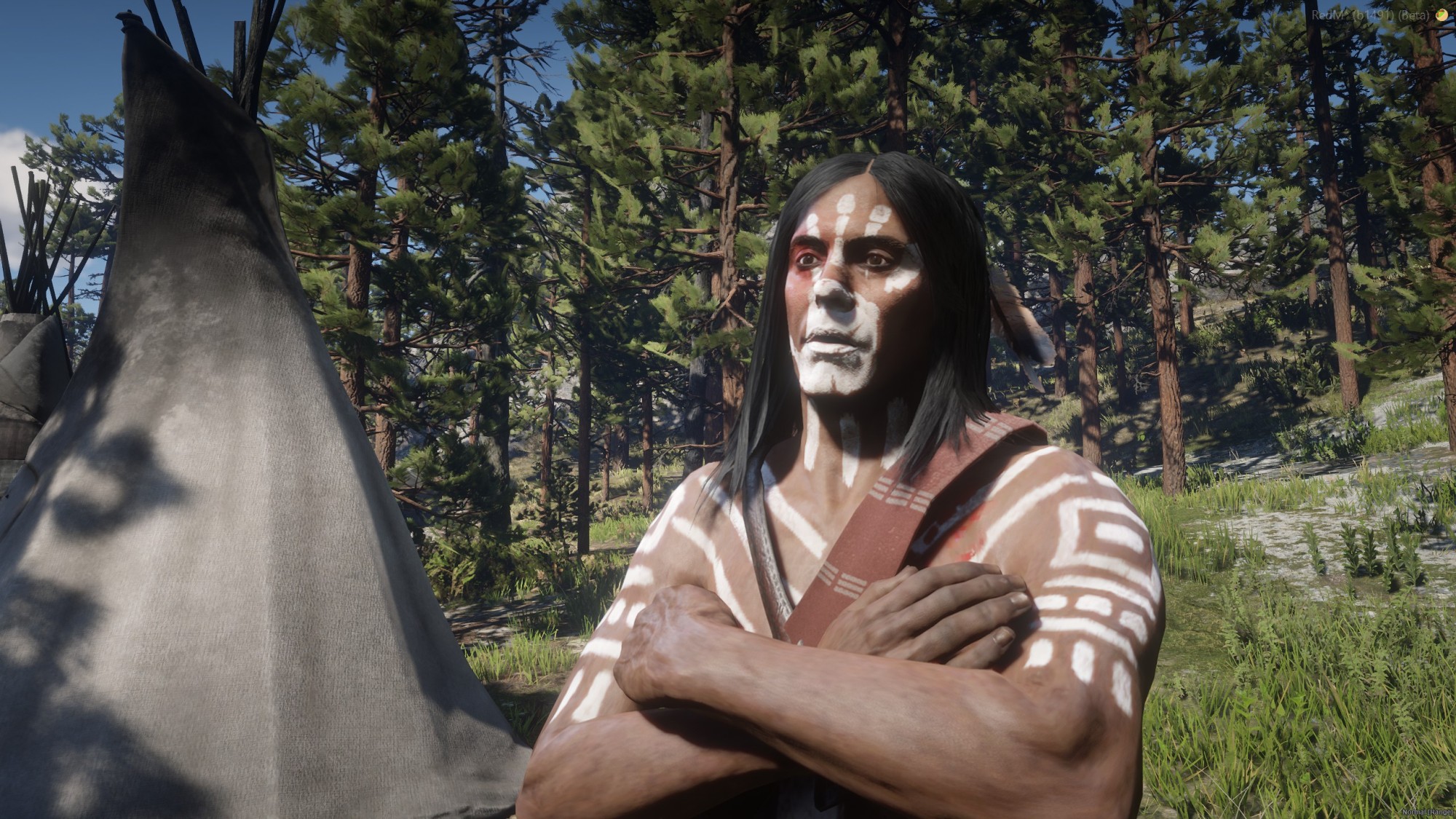 Hawk Native Paint – Spirit of Native