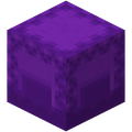 Armor+ Bundle