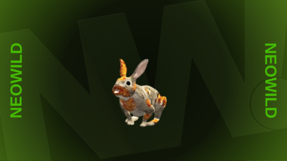 Infected Rabbit