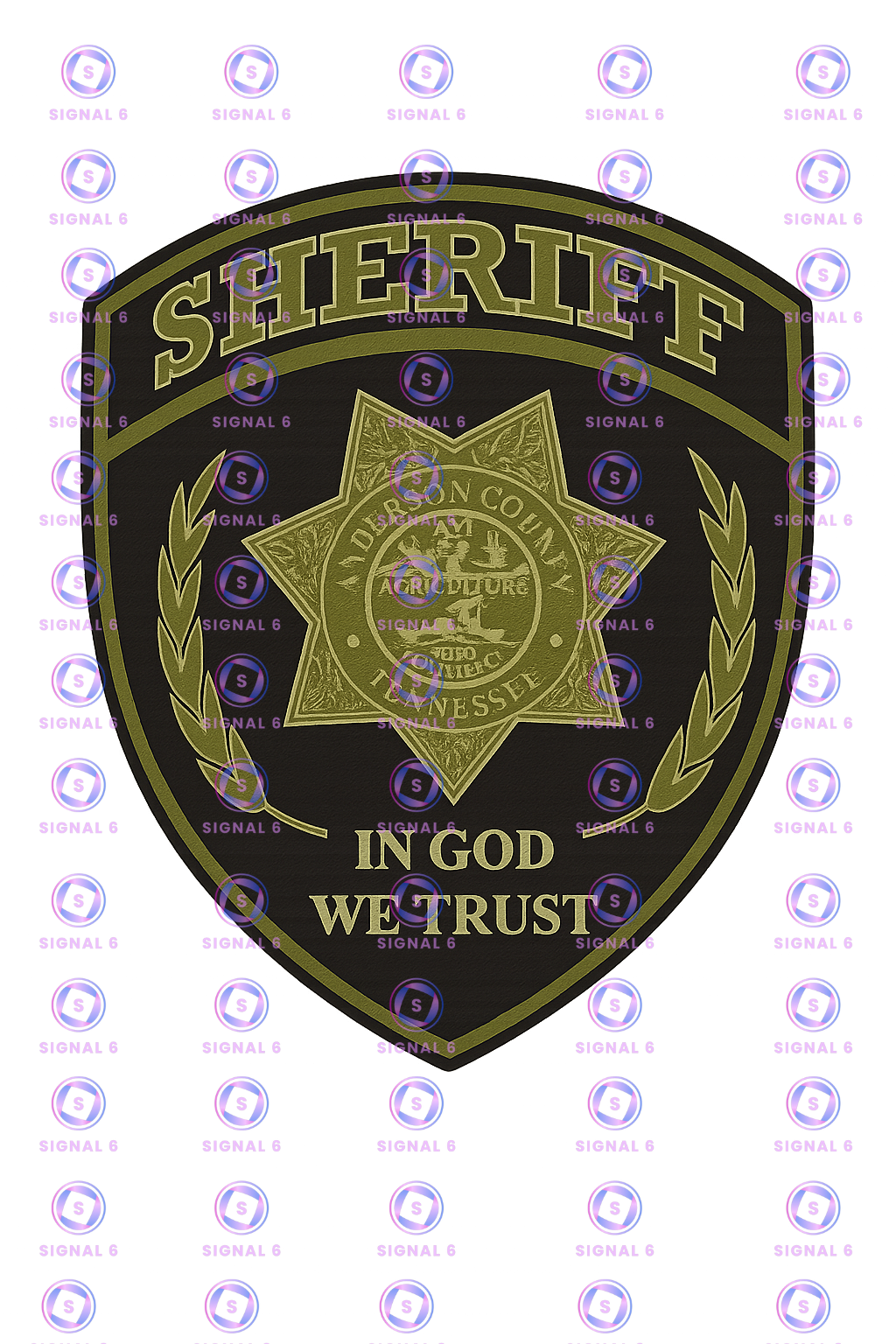 Anderson County Sheriff Patches