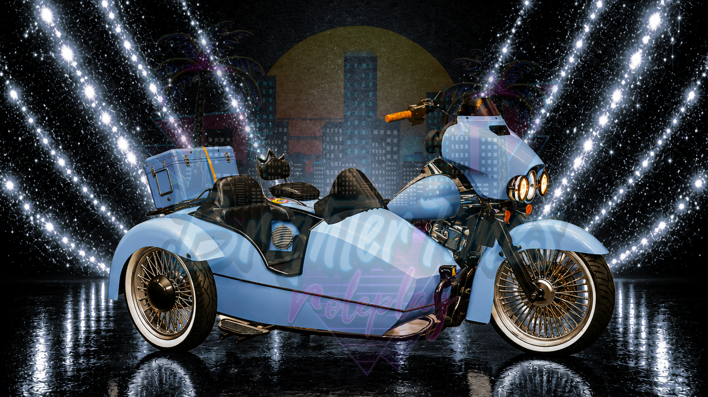 Vehicle Visual Access License: King SideCar