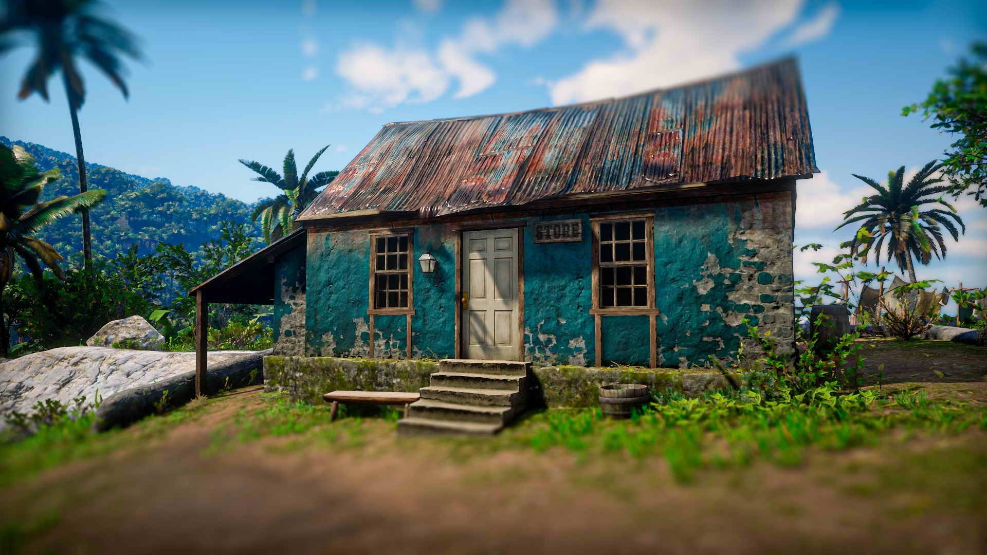 Village