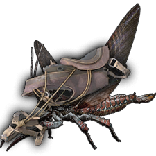 Rhyniognatha Saddle
