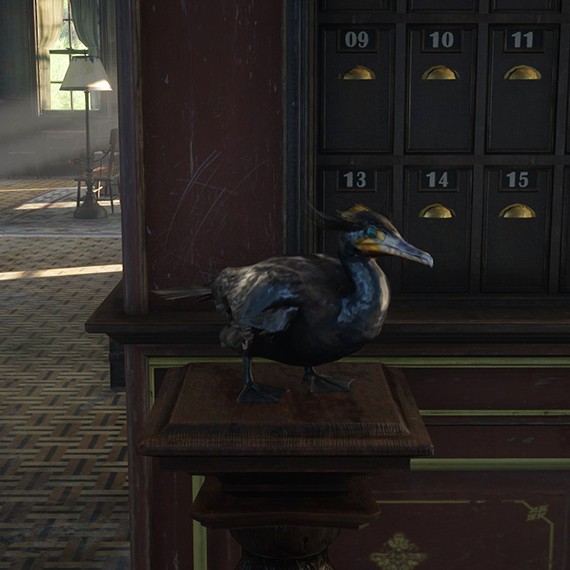 Cormoran