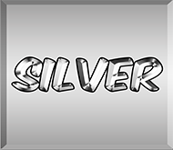 Silver Tier