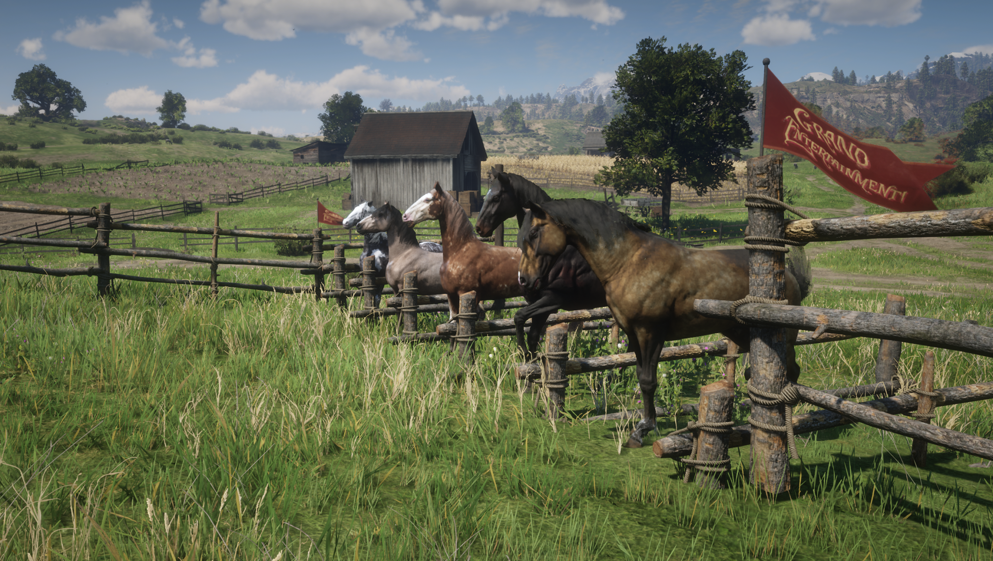 Emerald Race Track