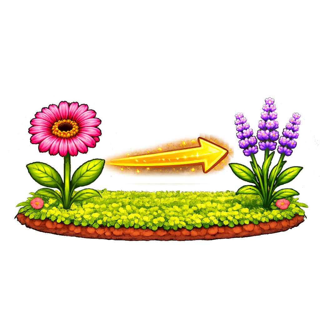 Gerbera -> Lavender