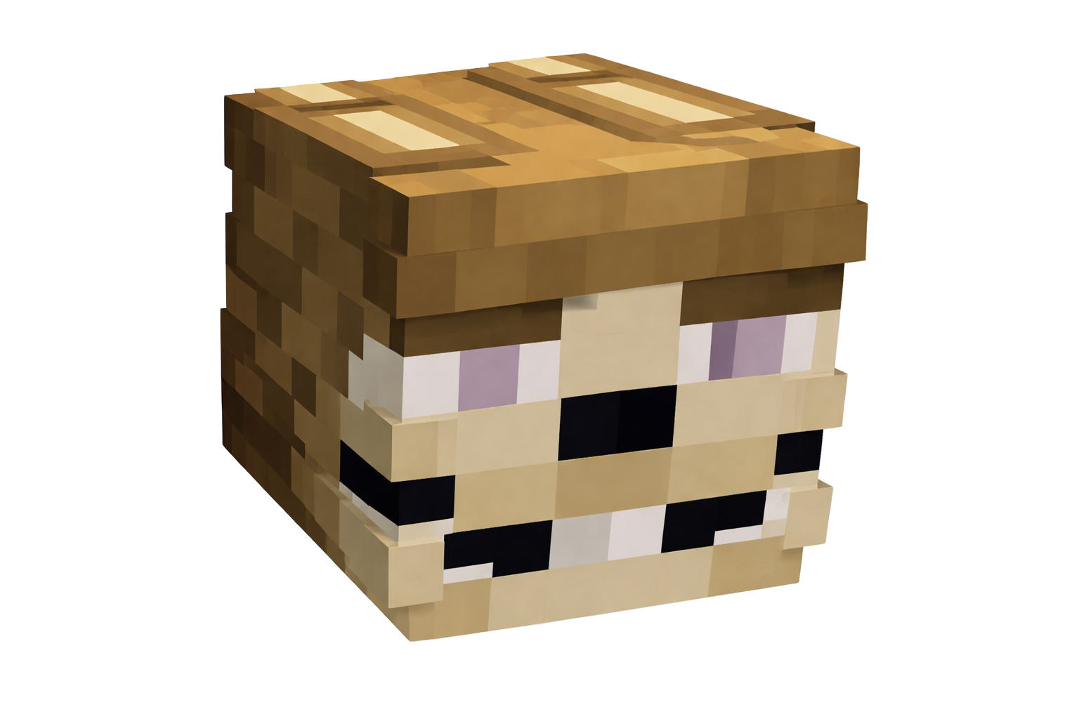 Bundle Glichtrap