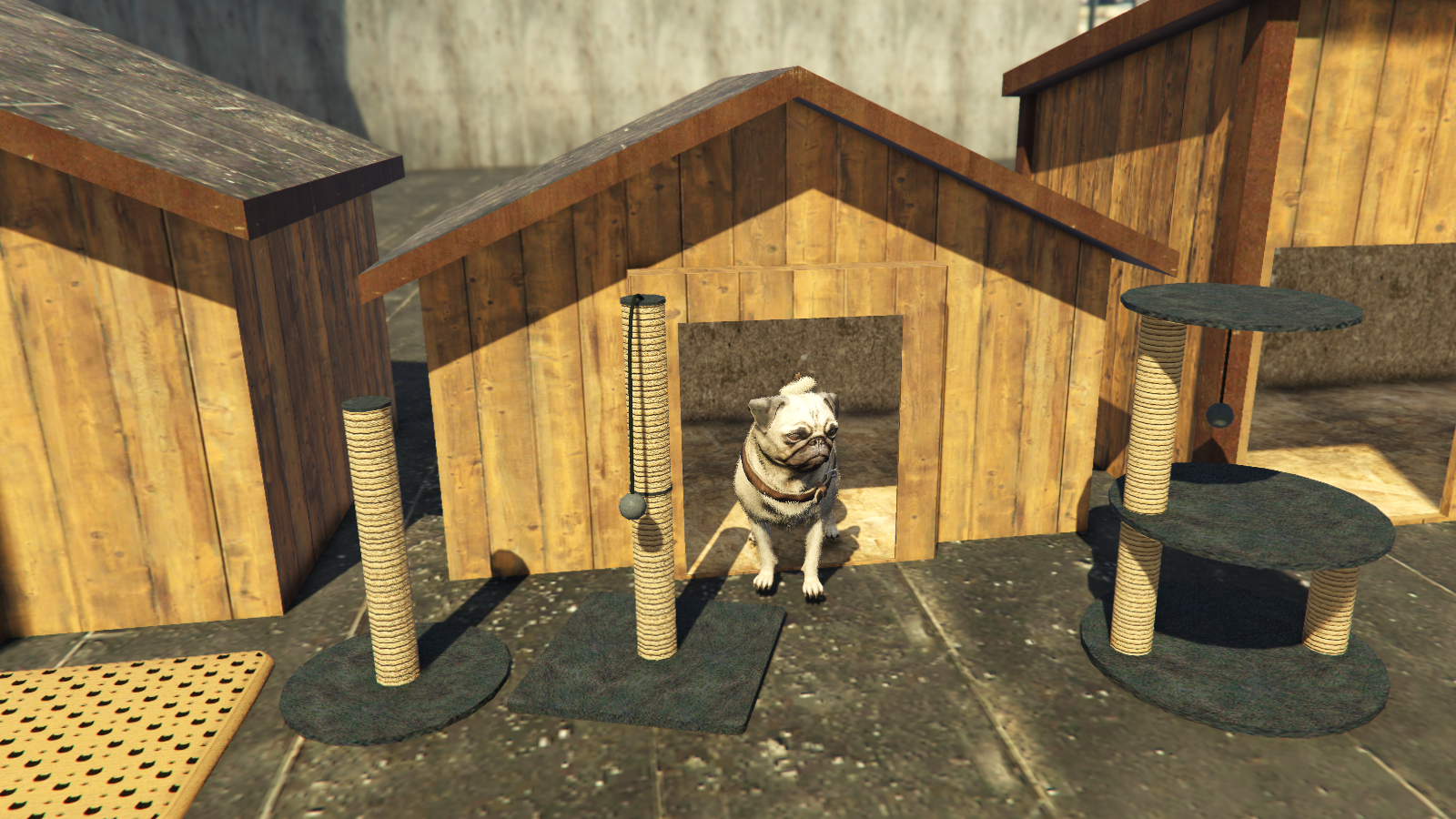 For pets