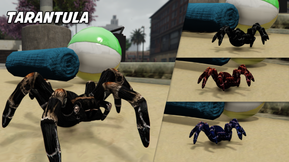 Tarantula