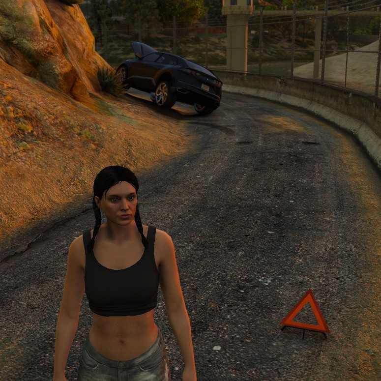 Emergency triangle