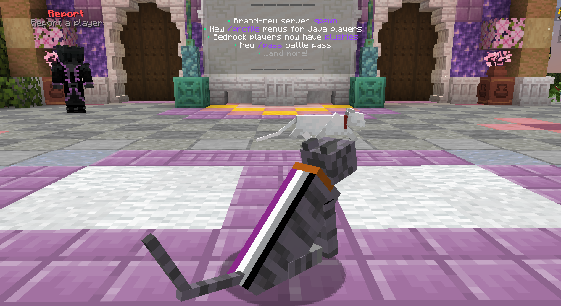 ๐ค Asexual Pride Cape Cat โ cosmetic Cat Skins item on the NovaVoid Cat Civilization Minecraft server