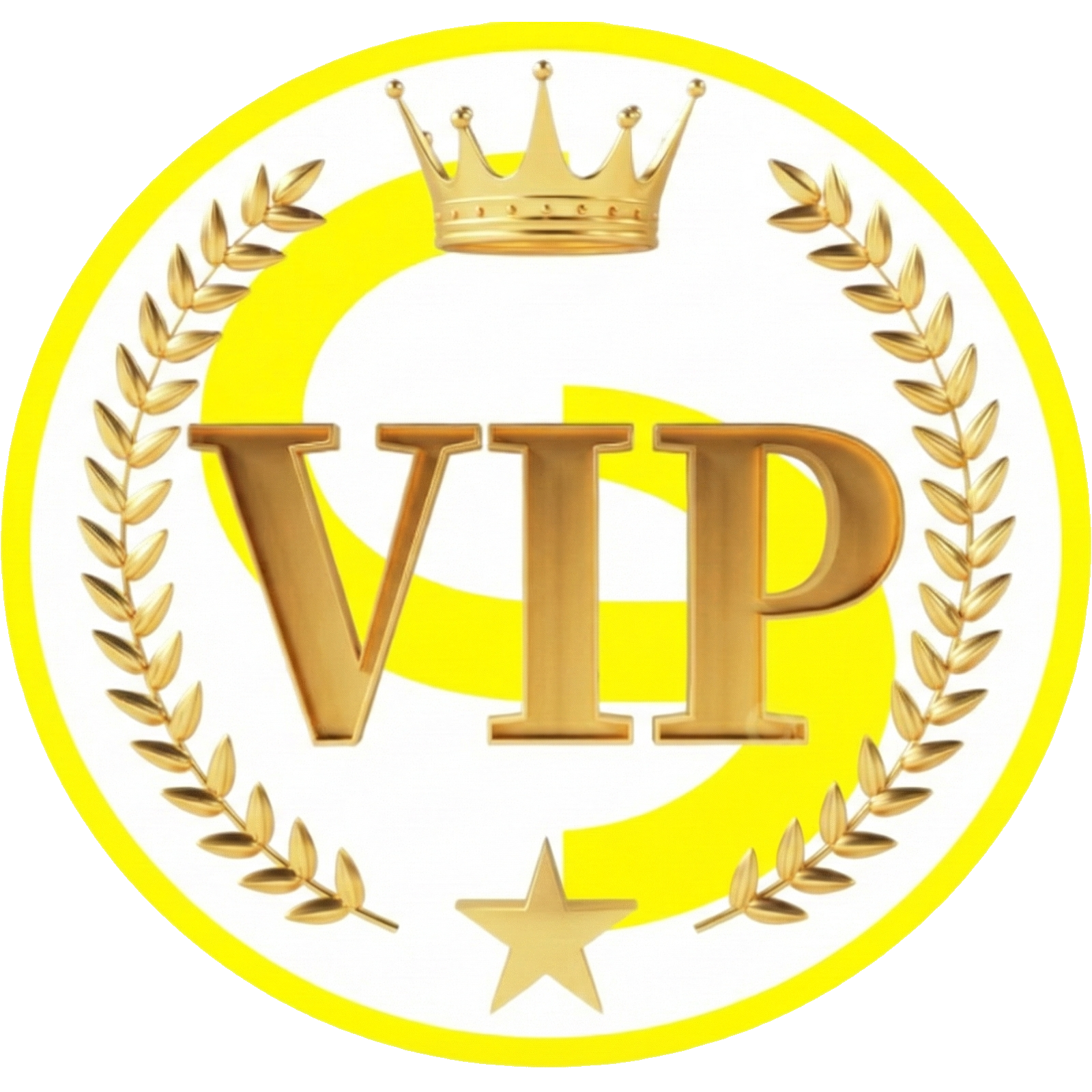 Discord Support VIP & Netherite Rank