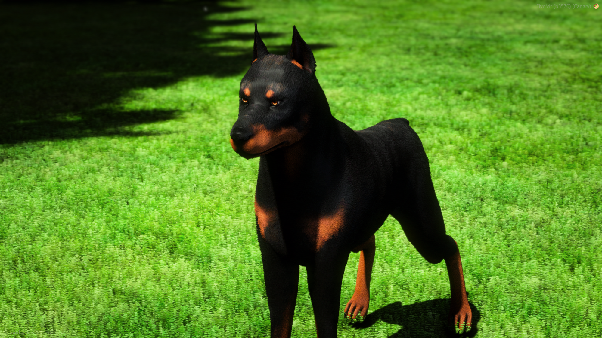 Doberman K9 + Puppy Bundle