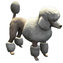 Overige honden