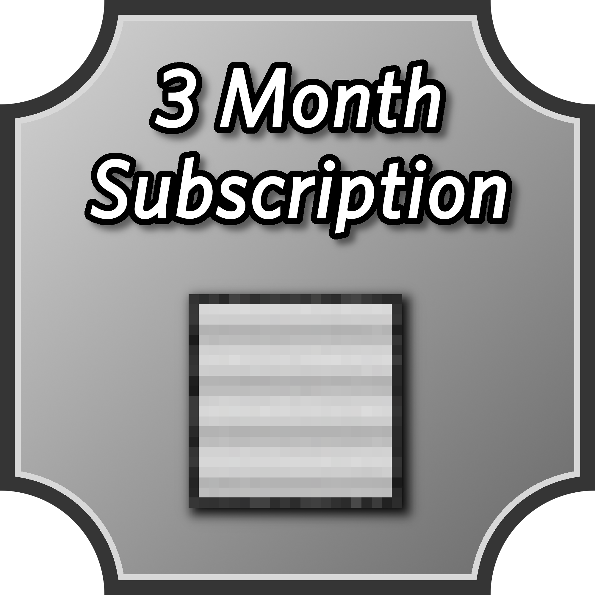 3 Month Server Subscription