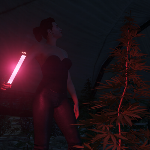 Red Light