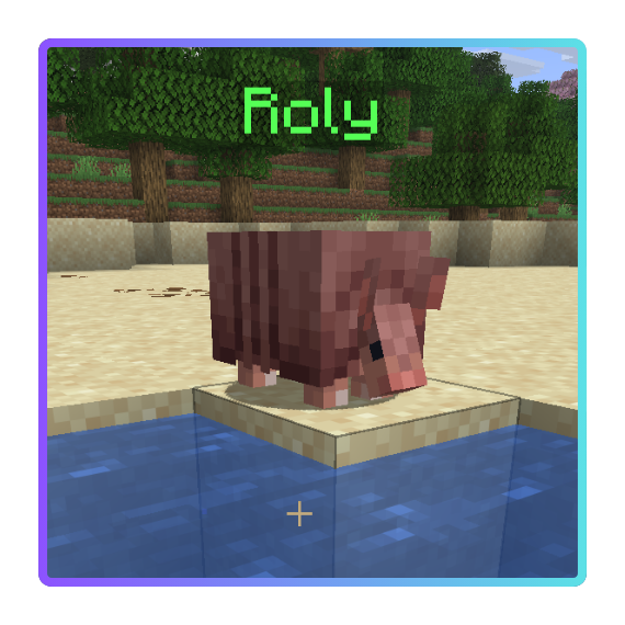 Roly