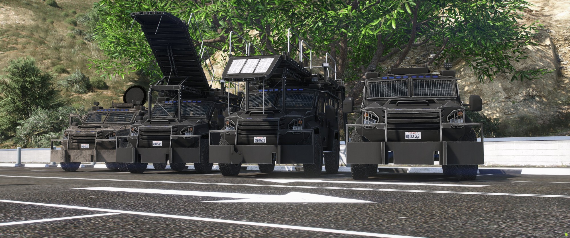 DSI Bearcat