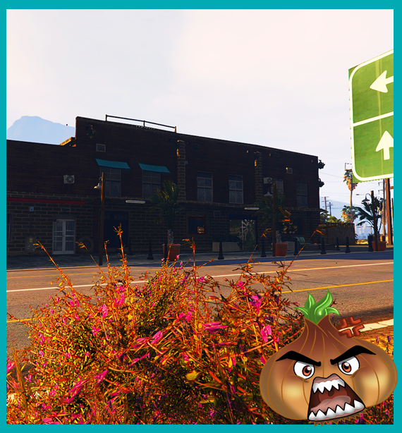 Tobacco Shop