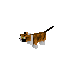 Spin Emote — cosmetic Emotes item on the NovaVoid Cat Civilization Minecraft server