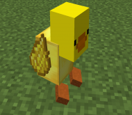 Pato