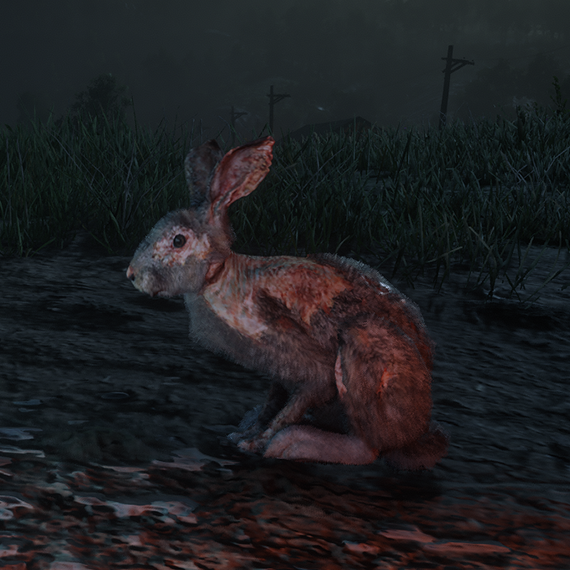 Lapin