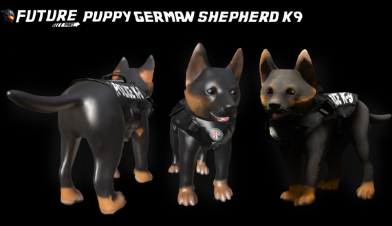 [DOG] [PUPPY] Puppy German Shepherd K9